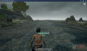 D-487 大型竞技端游【PUBG绝地求生】WIN系服务端+PC客户端+详细搭建教程|醉心素材|手游源码|端游源码|资源教程|工具分享|免费源码